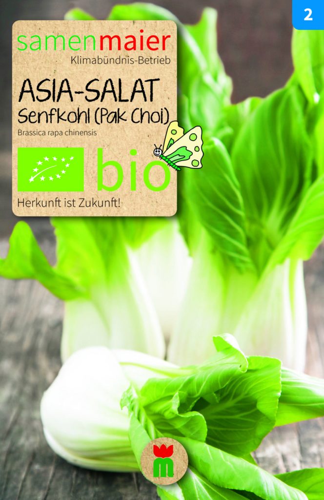 BIO Gemüsesamen Asia-Salat Senfkohl (Pak Choi)