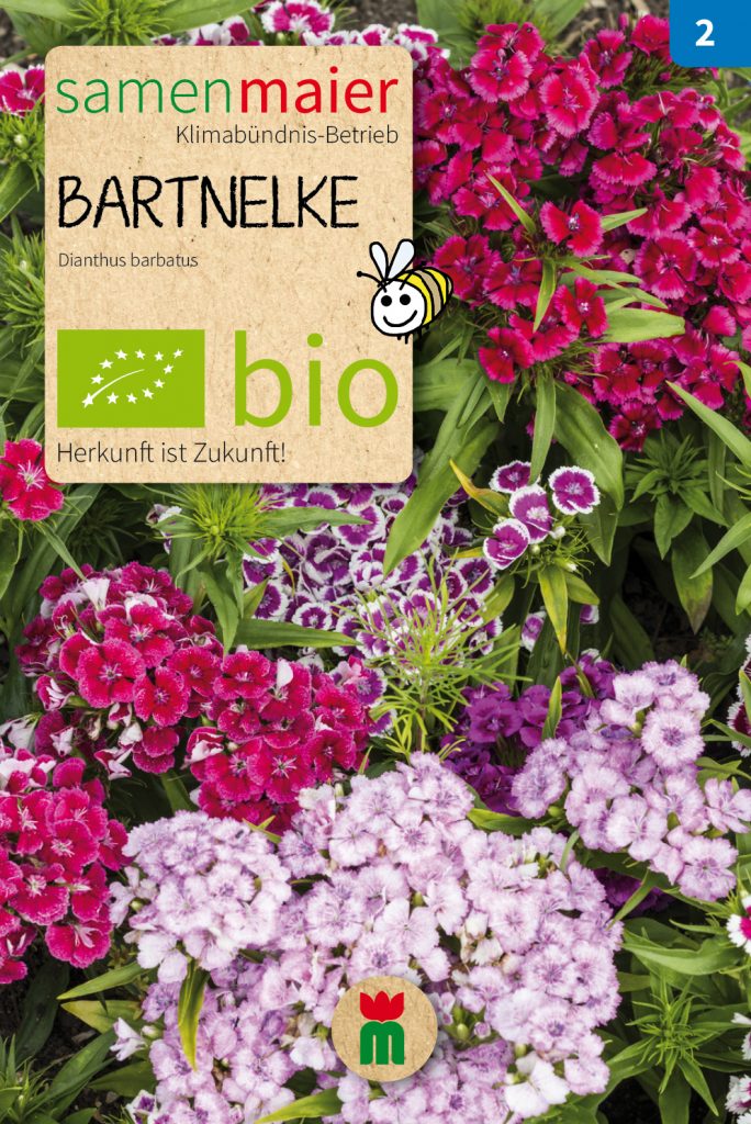 BIO Blumensamen Bartnelke